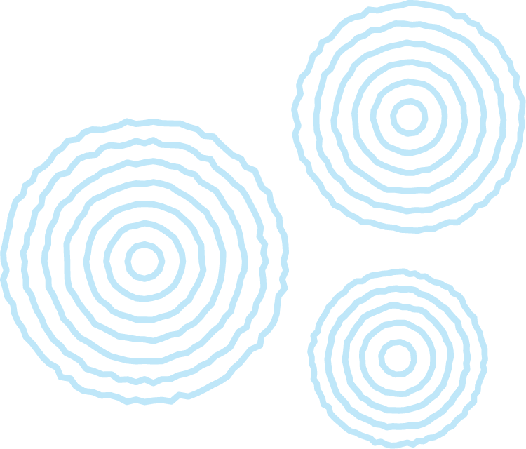 右のあしらい画像