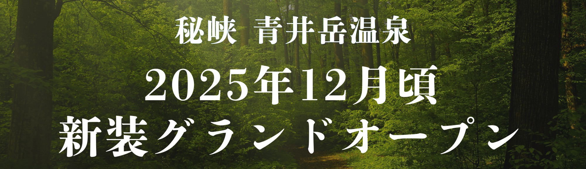 青井岳温泉ティザー 2025年12月新装グランドオープン